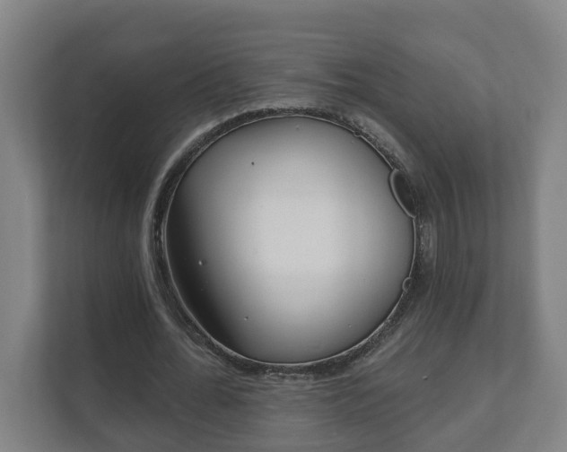 X0000111610676200907241010