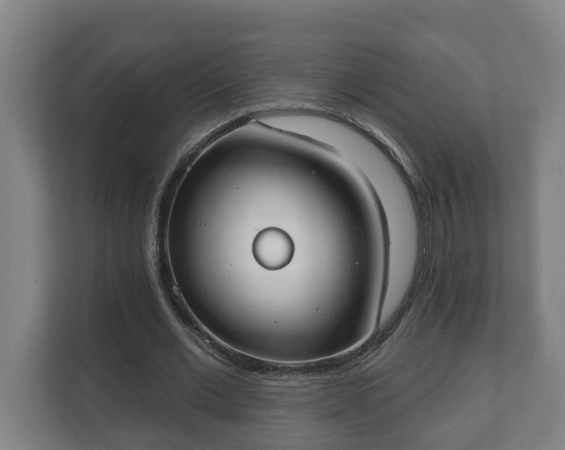 X0000111610677200907241010