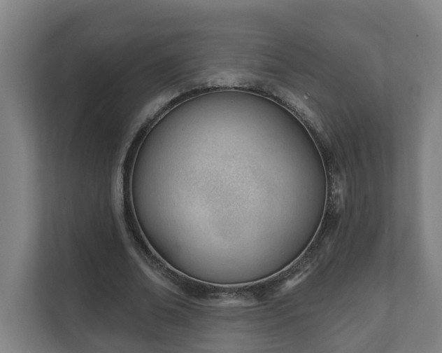 X0000111610678200907241010