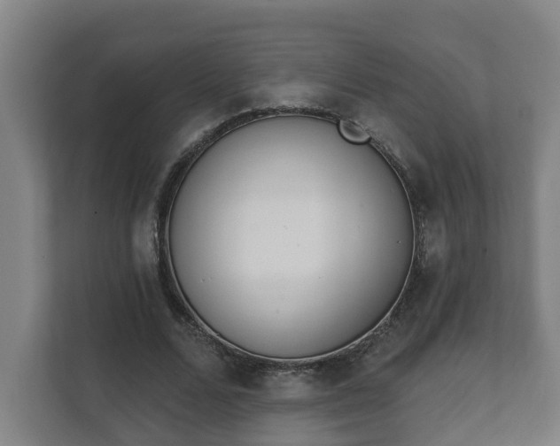 X0000111610680200907241010