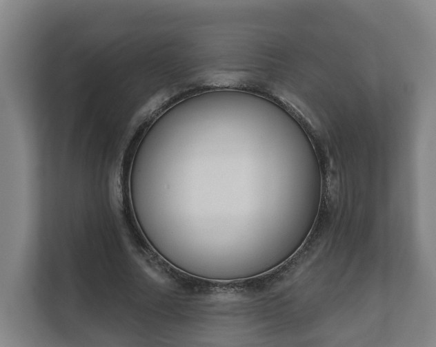 X0000111610682200907241010