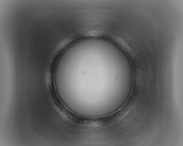 X0000111610683200907241010