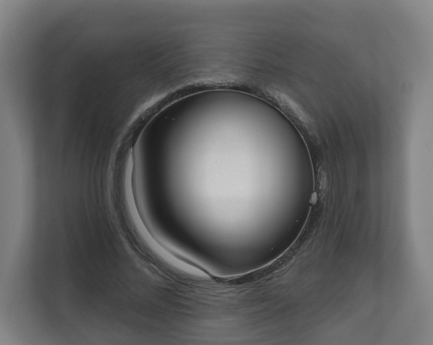 X0000111610684200907241010