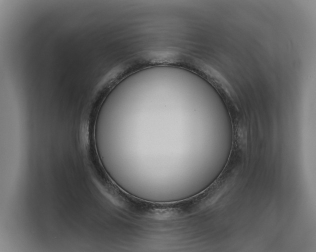 X0000111610686200907241010