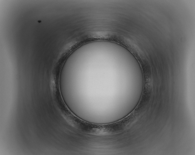 X0000111610688200907241010