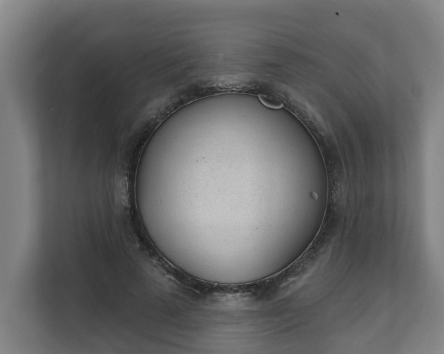 X0000111610689200907241010