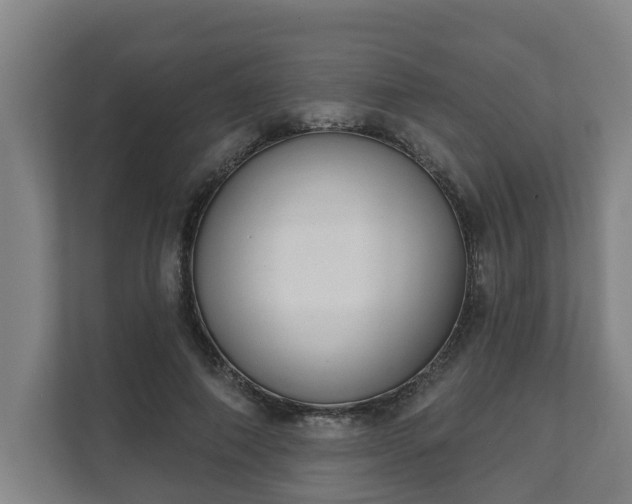 X0000111610690200907241010