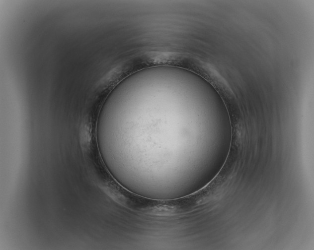 X0000111610691200907241010