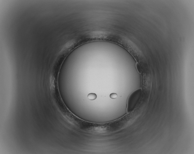 X0000111610692200907241010