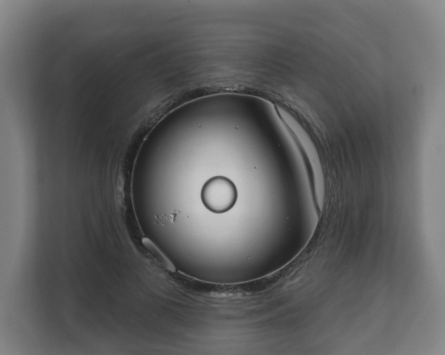 X0000111610693200907241010