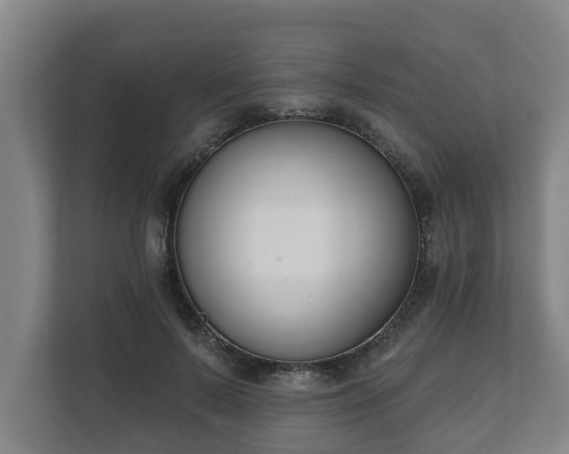 X0000111610695200907241010