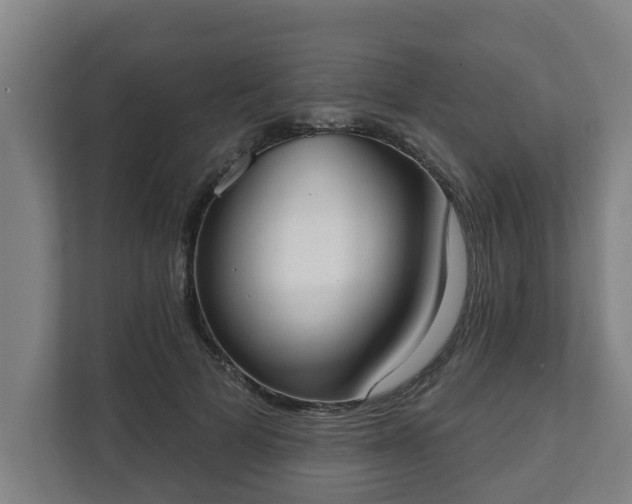 X0000111610697200907241010