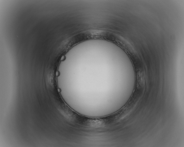 X0000111610698200907241010