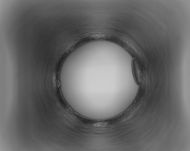 X0000111610700200907241010
