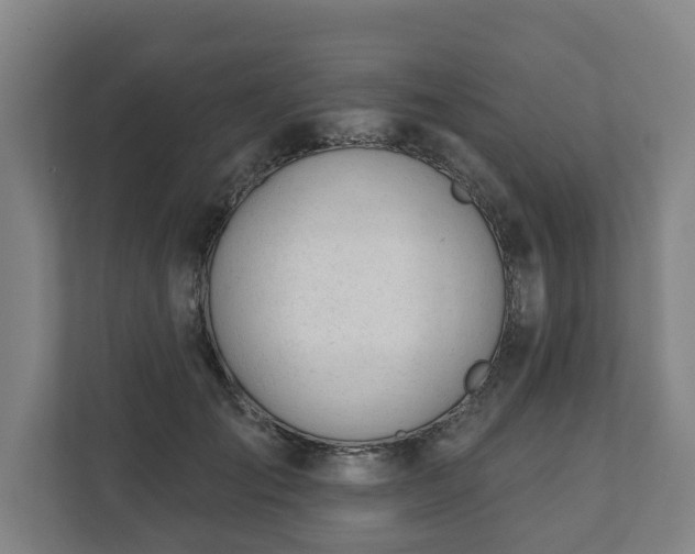 X0000111610701200907241010
