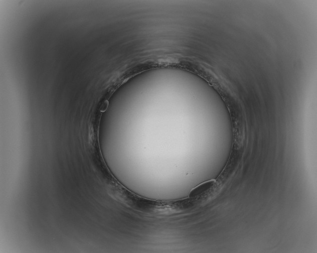 X0000111610704200907241010