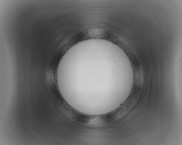 X0000111610705200907241010