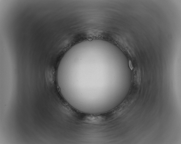 X0000111610712200907241010