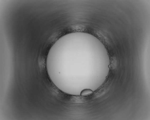 X0000111610713200907241009
