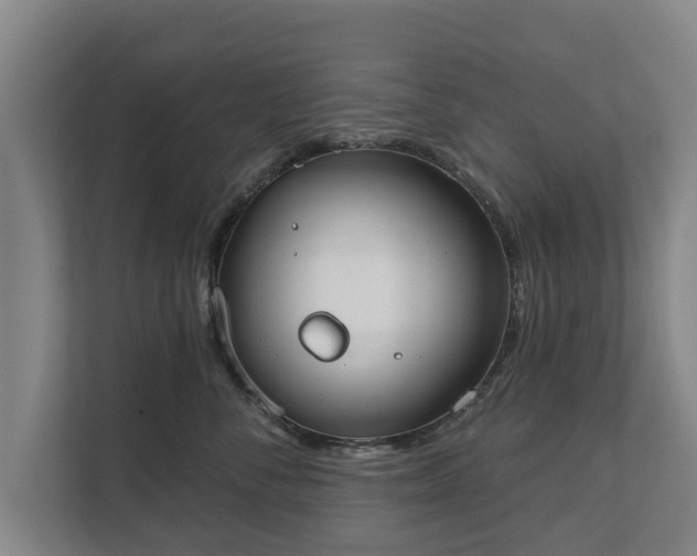 X0000111610716200907241009