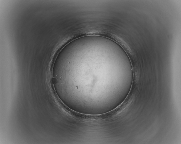 X0000111610721200907241009