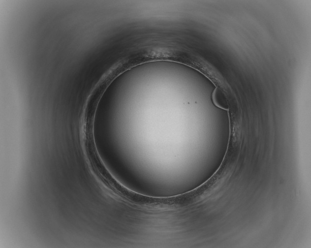 X0000111610722200907241009