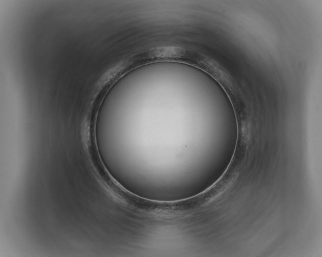 X0000111610725200907241009
