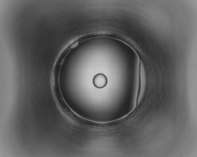 X0000111610726200907241009