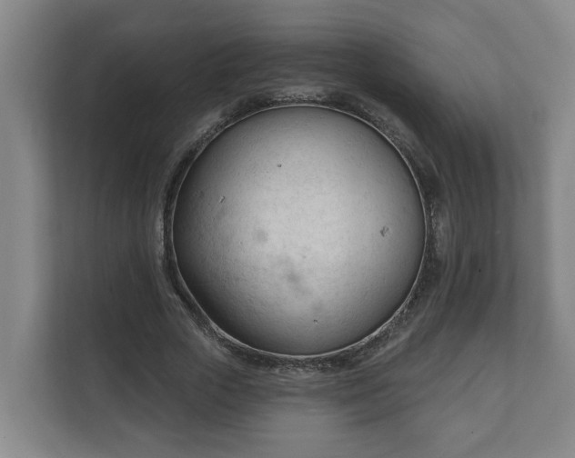 X0000111610729200907241009