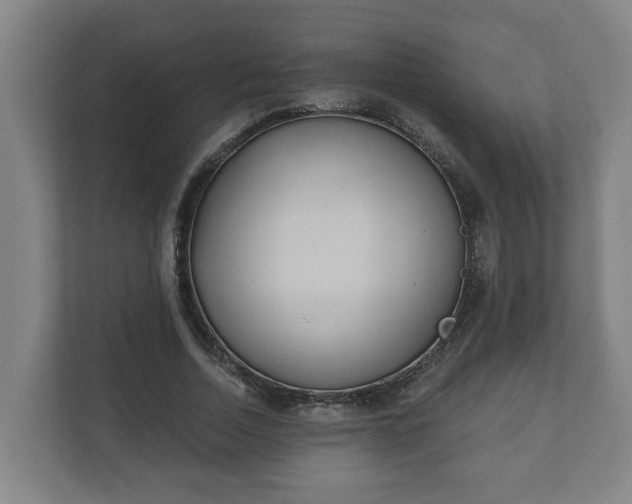X0000111610730200907241009