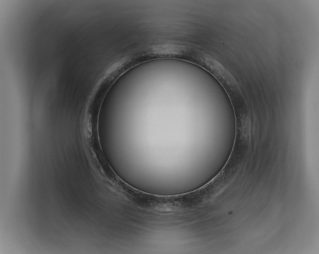 X0000111610731200907241009