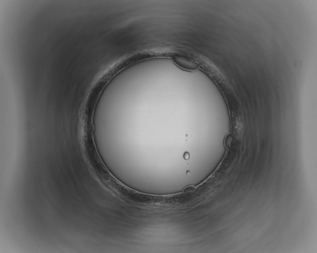 X0000111610732200907241009