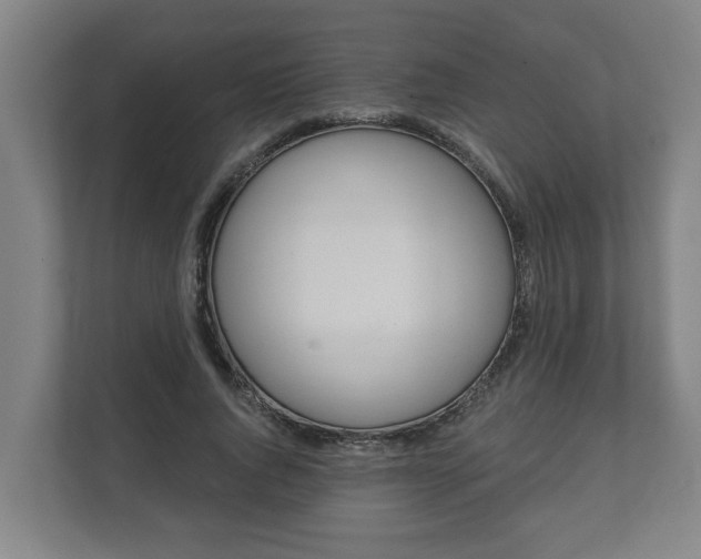 X0000111610736200907241009