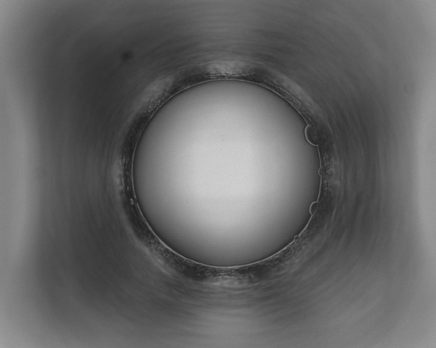 X0000111610738200907241009