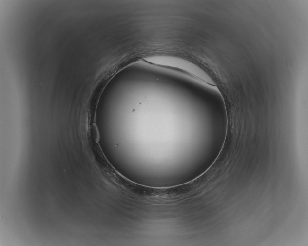 X0000111610740200907241009