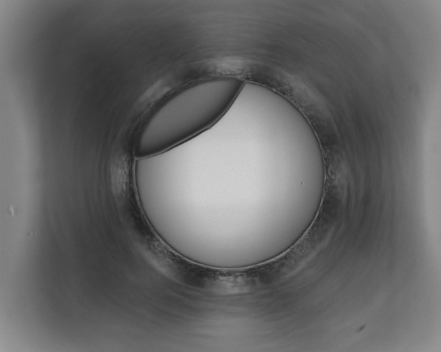 X0000111610744200907241009