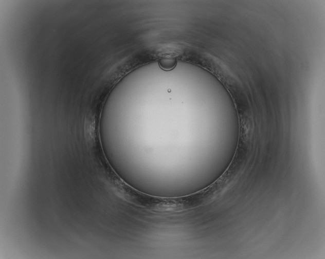 X0000111610745200907241009