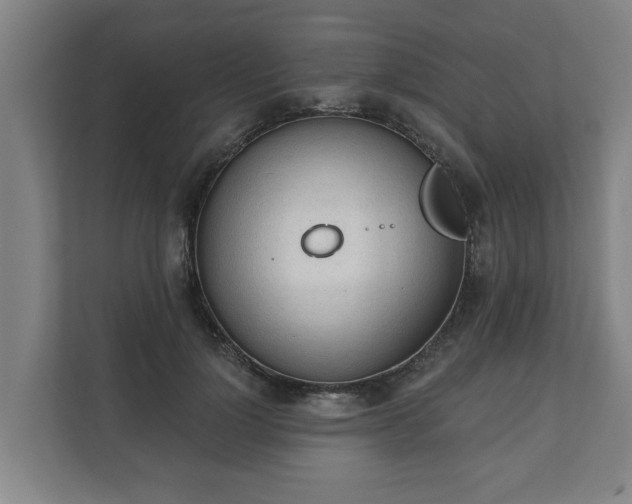 X0000111610748200907241009