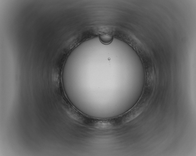 X0000111610749200907241009