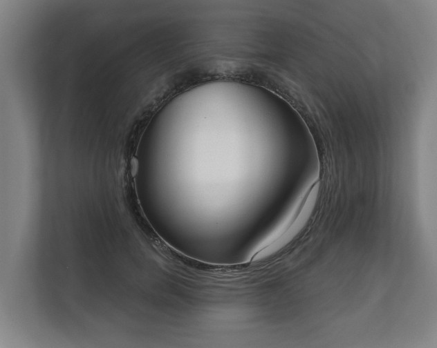 X0000111610750200907241009