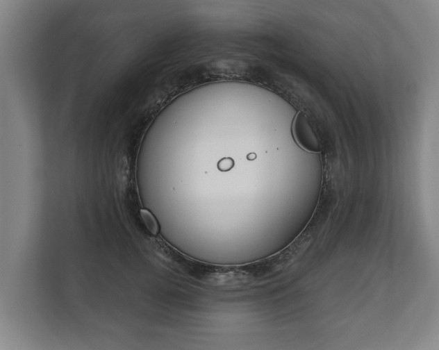 X0000111610752200907241009