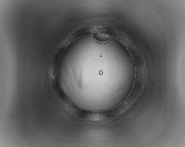 X0000111610755200907241009