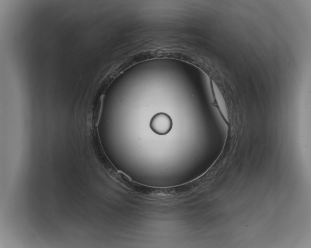X0000111610756200907241009