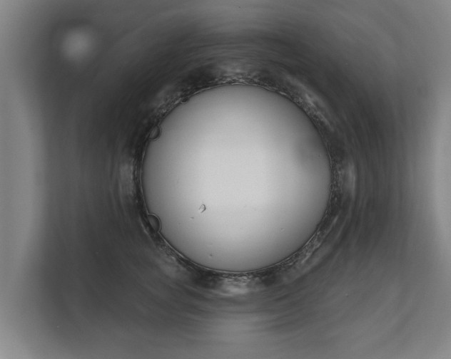 X0000111610757200907241009