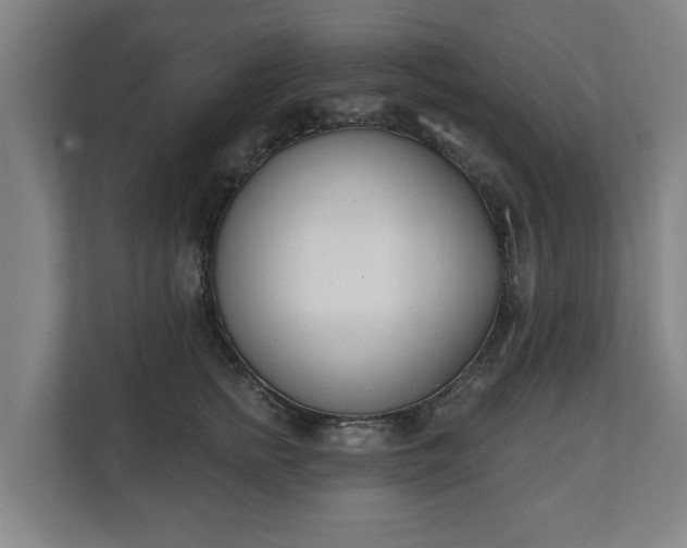 X0000111610758200907241009