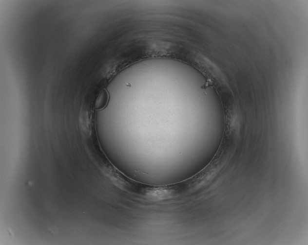 X0000111610759200907241009