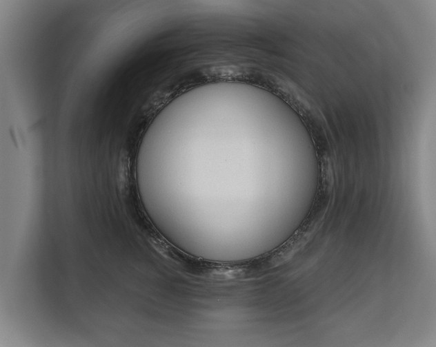 X0000111610760200907241009