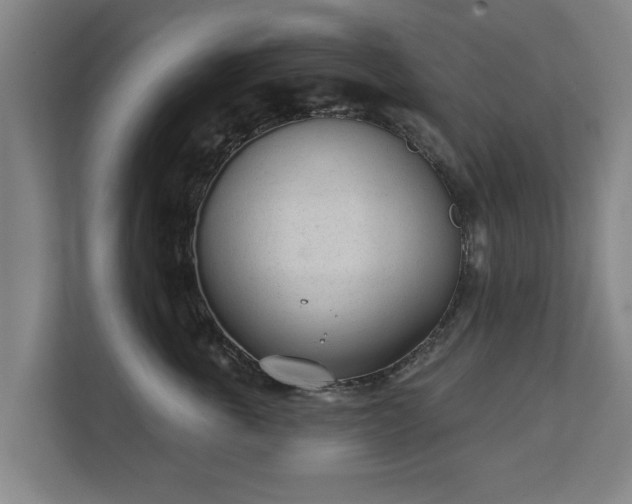 X0000111610763200907241009