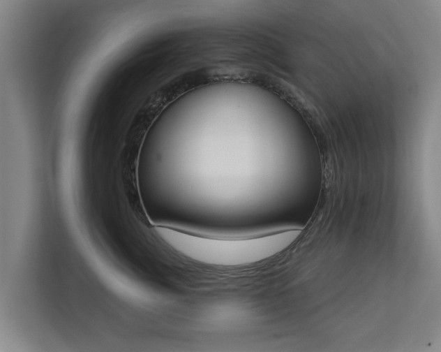 X0000111610764200907241009