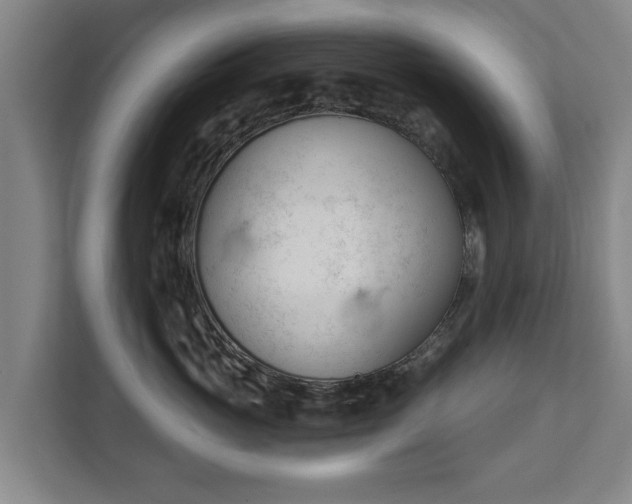 X0000111610765200907241009
